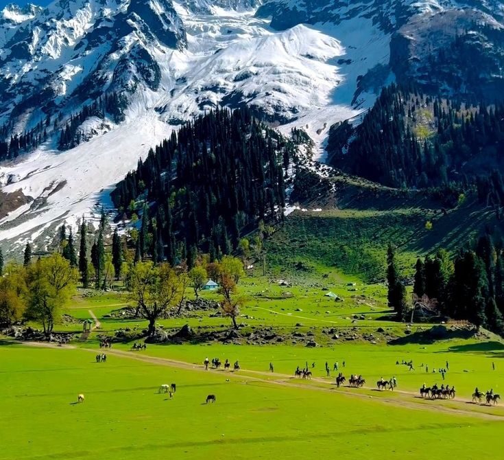 4 Nights and 5 Days Kashmir Tour Package